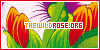  The Wild Rose